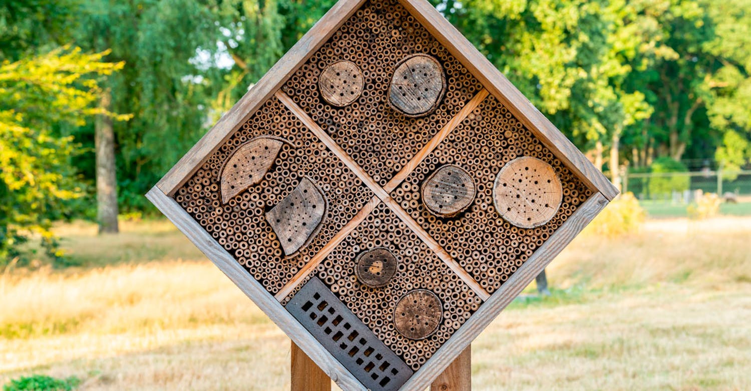 Eksempel på insekthotel Hjemmelavet Insekthotel